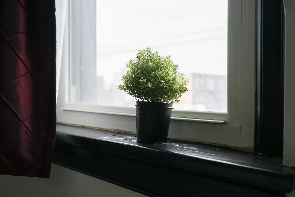 Applewood Suites - Queen West Loft Toronto Lägenhet